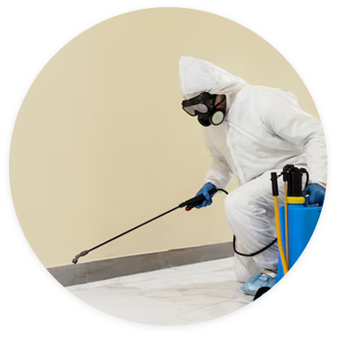 Best pest control services in coimbatore